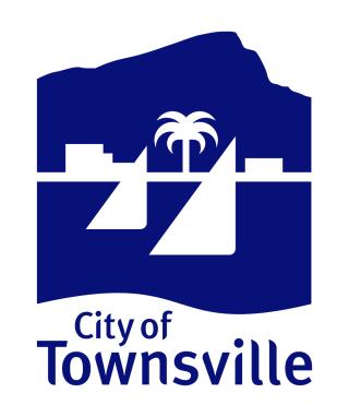 Twonsville city council